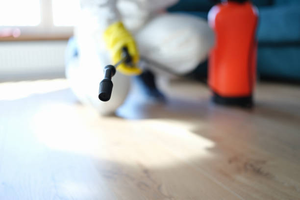 Mold Removal for HVAC Installations in Oatfield, OR