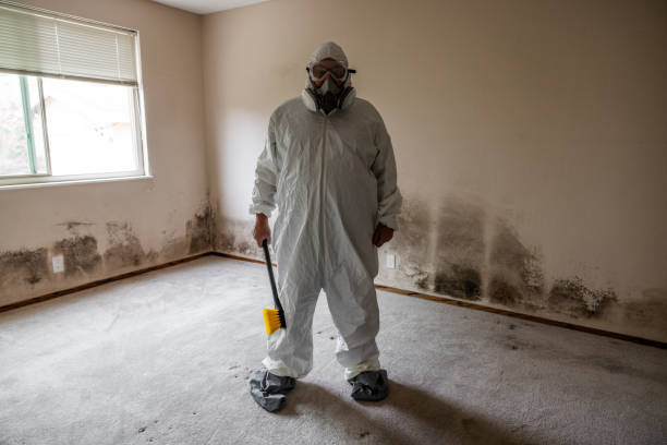 Mold Remediation for Rental Properties in Oatfield, OR